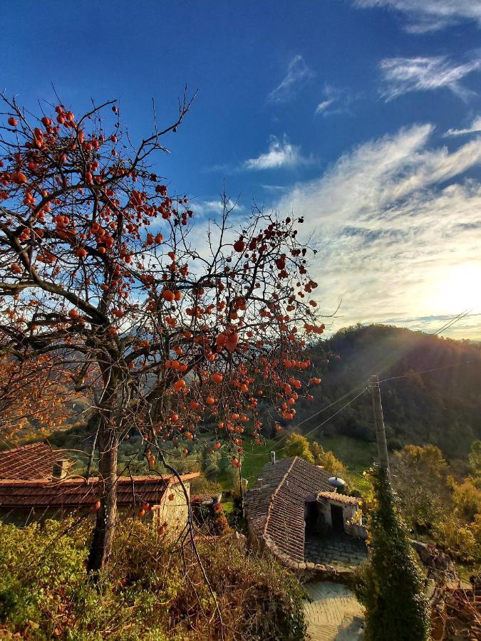 Il Convento Di Casola Casola in Lunigiana Extérieur photo